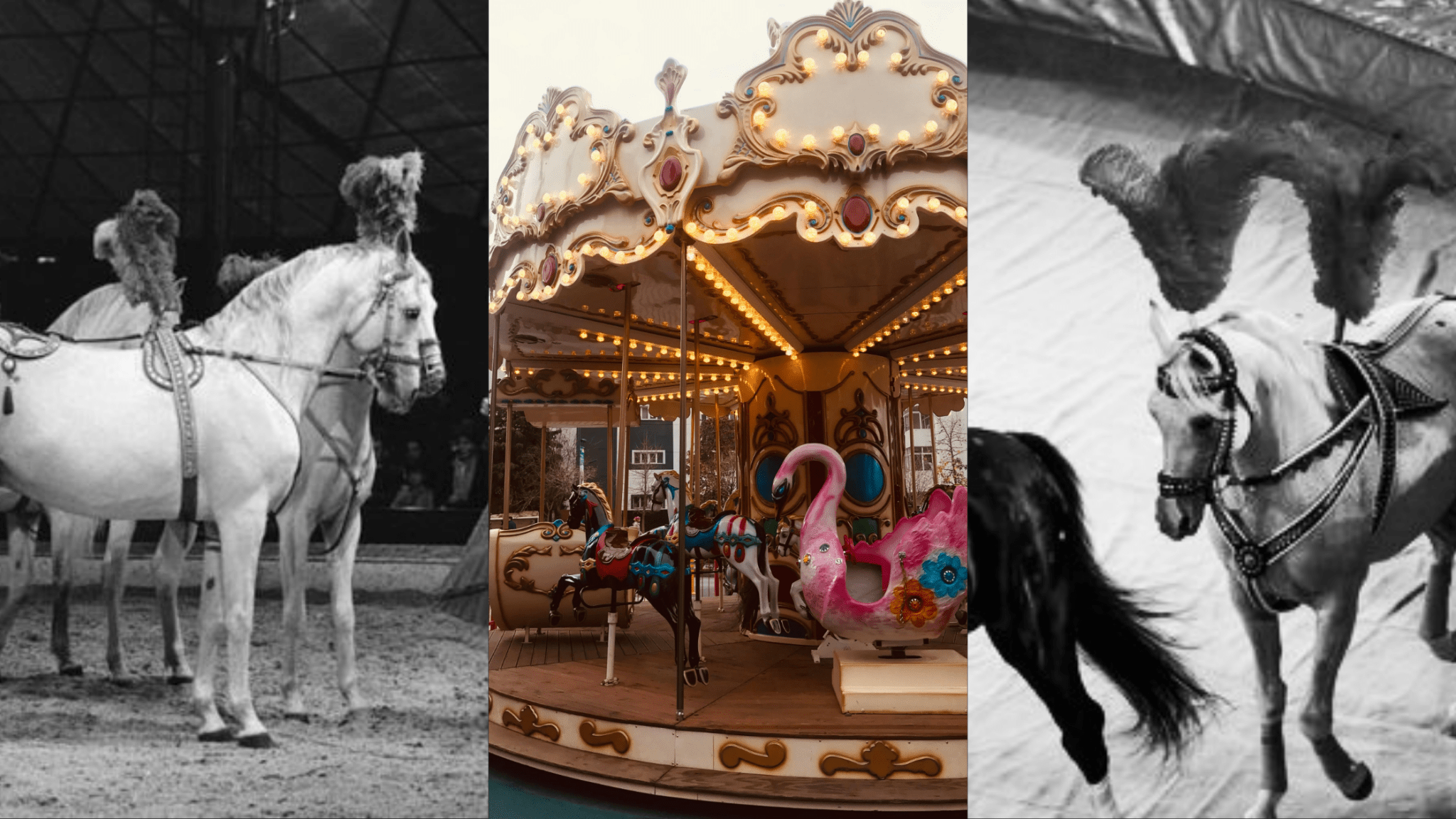 Collection Inspiration: Cirque de Cheval