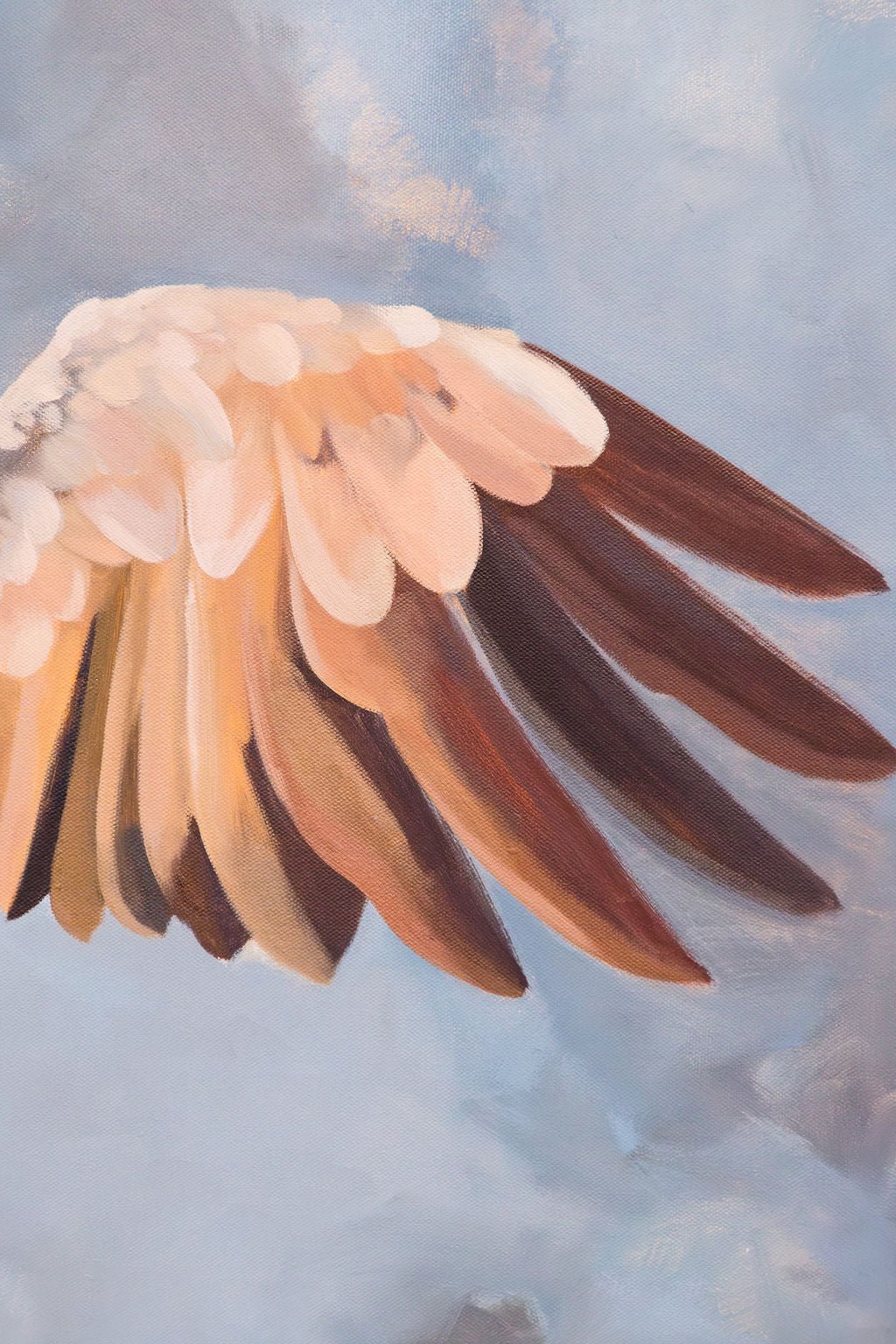 Close-up of a bird's wing with detailed feathers against a soft, blurred background